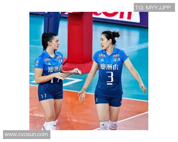 深圳排球队总决赛个人能力分析与表现评估 深圳排球队总决赛个人能力分析与表现评估