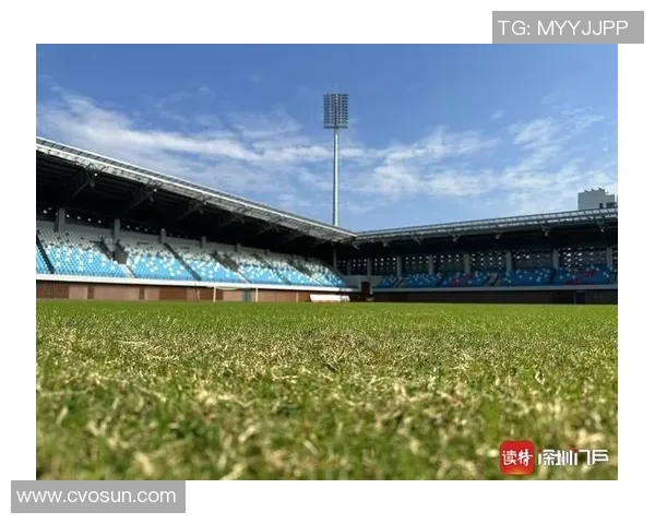 深圳羽毛球队实力解析:从训练到比赛的全方位剖析与展望 深圳羽毛球队实力解析:从训练到比赛的全方位剖析与展望