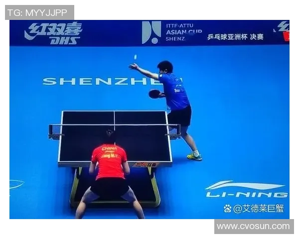 武汉乒乓球队的耐力训练与比赛表现探讨聚焦乒乓球发展新趋势