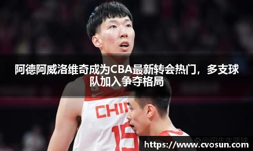 阿德阿威洛维奇成为CBA最新转会热门，多支球队加入争夺格局