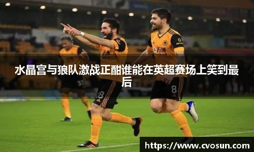 水晶宫与狼队激战正酣谁能在英超赛场上笑到最后